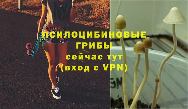 марки lsd Балахна