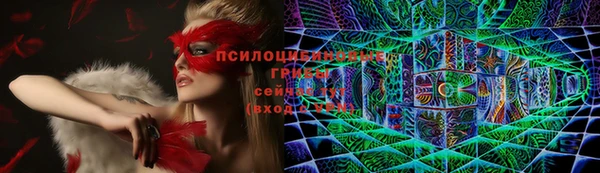 ГАЛЛЮЦИНОГЕННЫЕ ГРИБЫ Баксан