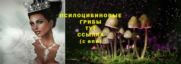 ГАЛЛЮЦИНОГЕННЫЕ ГРИБЫ Баксан