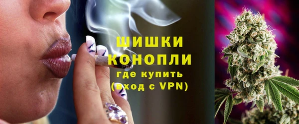 ГАЛЛЮЦИНОГЕННЫЕ ГРИБЫ Баксан